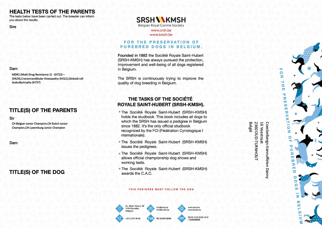 stamboom Luna deel 2