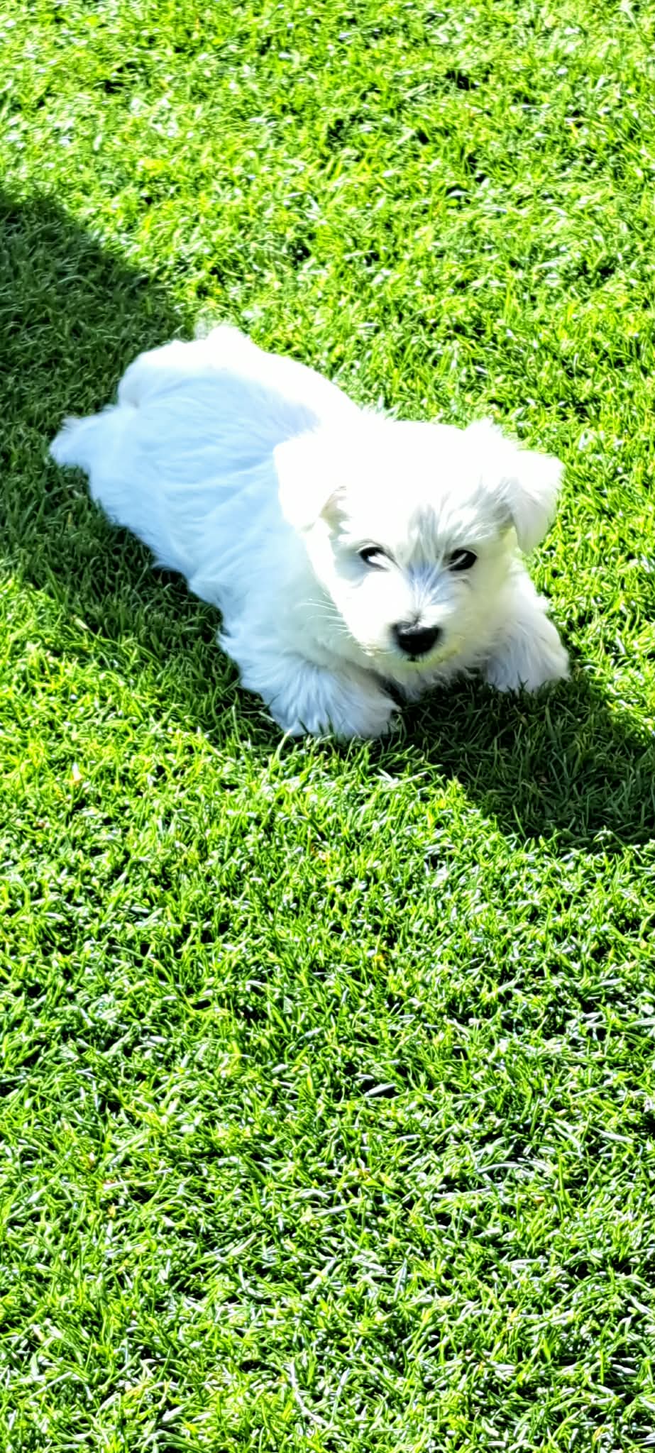 Mooie foto van Zita 25 april